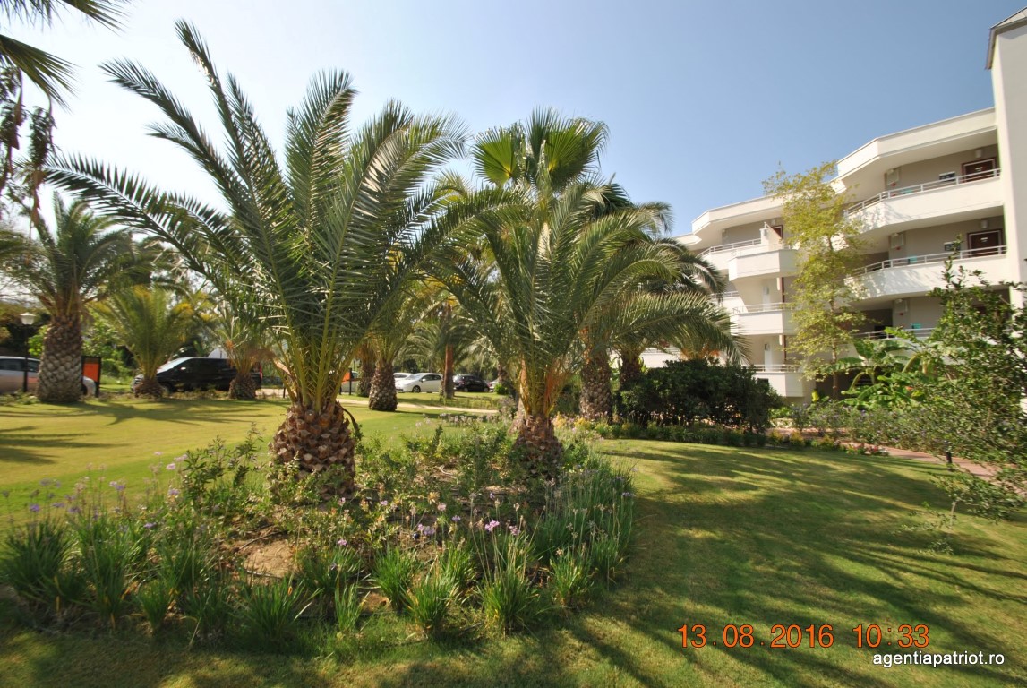 imagini hotel PALM WINGS EPHESUS